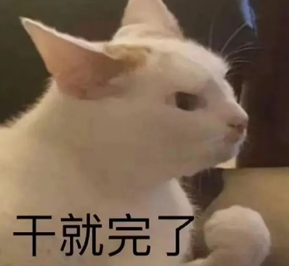 只差一两分就过线？别慌，还能破格录取！