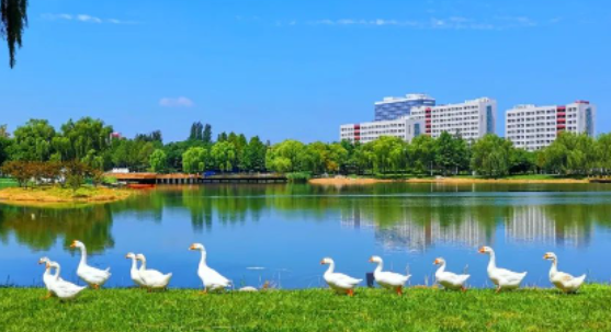 2024年北京理工大学硕士研究生招生简章