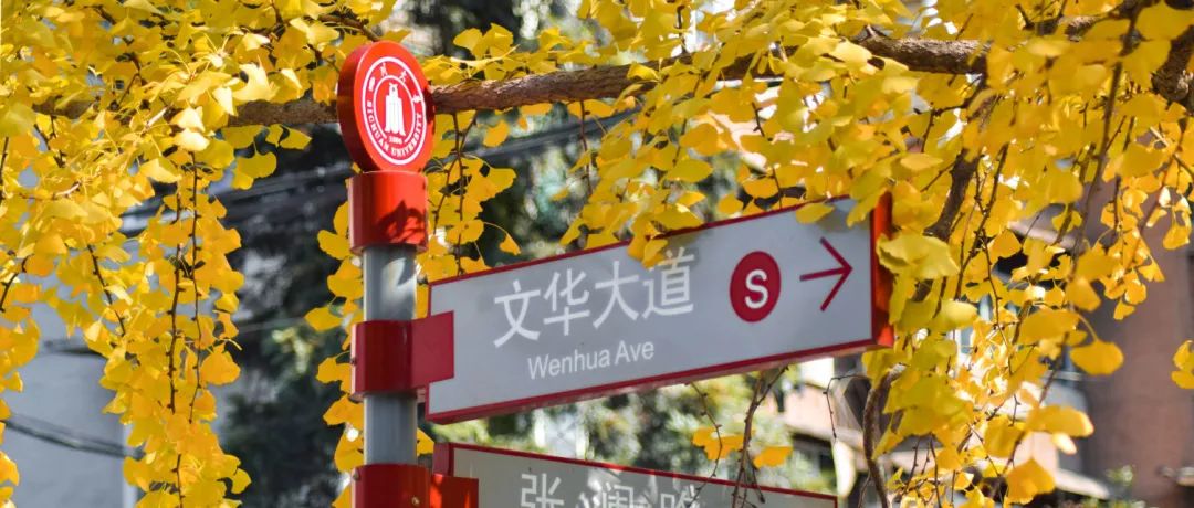 四川大学:24硕士研究生招生简章!