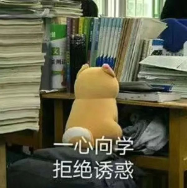 急急急!求支招!考研遇上期末周,到底怎么办?