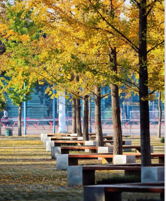 西北农林科技大学