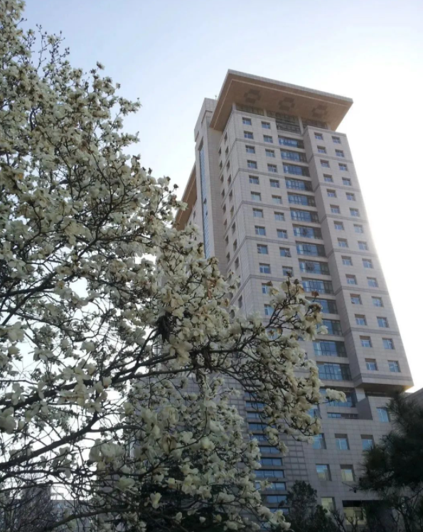 2024北京师范大学公共管理硕士 (非全日制双证MPA)研究生招生