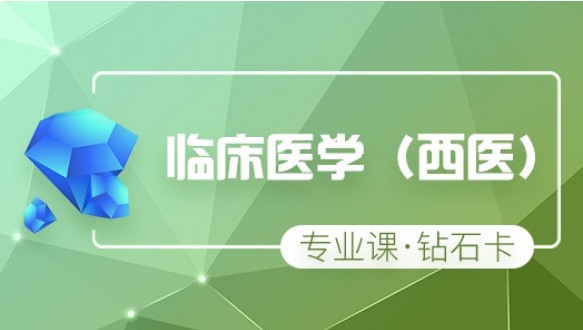  海文考研钻石卡高端 辅导课程 （临床西医）