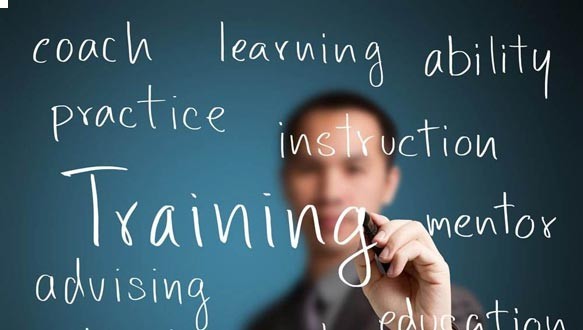 新东方考研一考研管综直通车